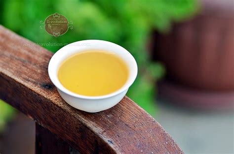 Home of Organic, Pure & Rare Teas – Teavolution®.